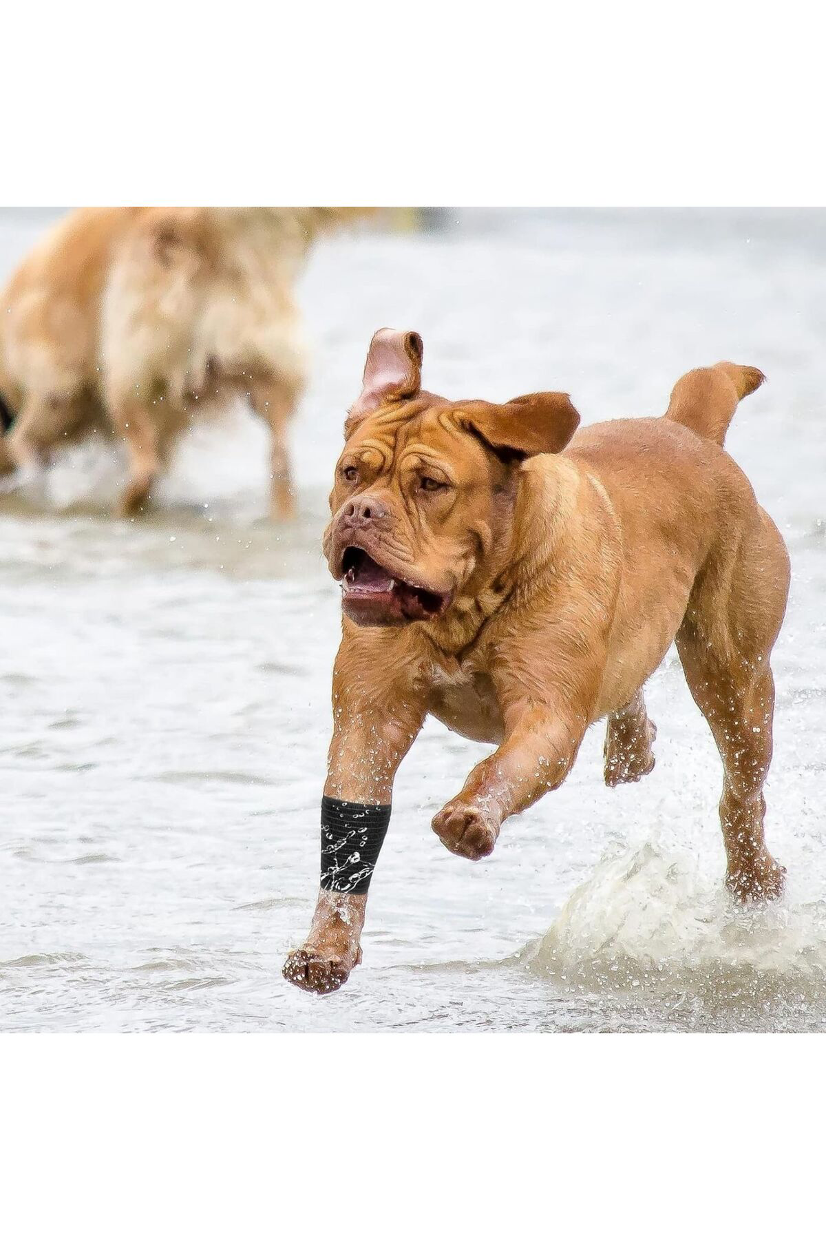 Siyah Renk Coban Bandajı Elastik Kendinden Yapışkanlı Coban Banda