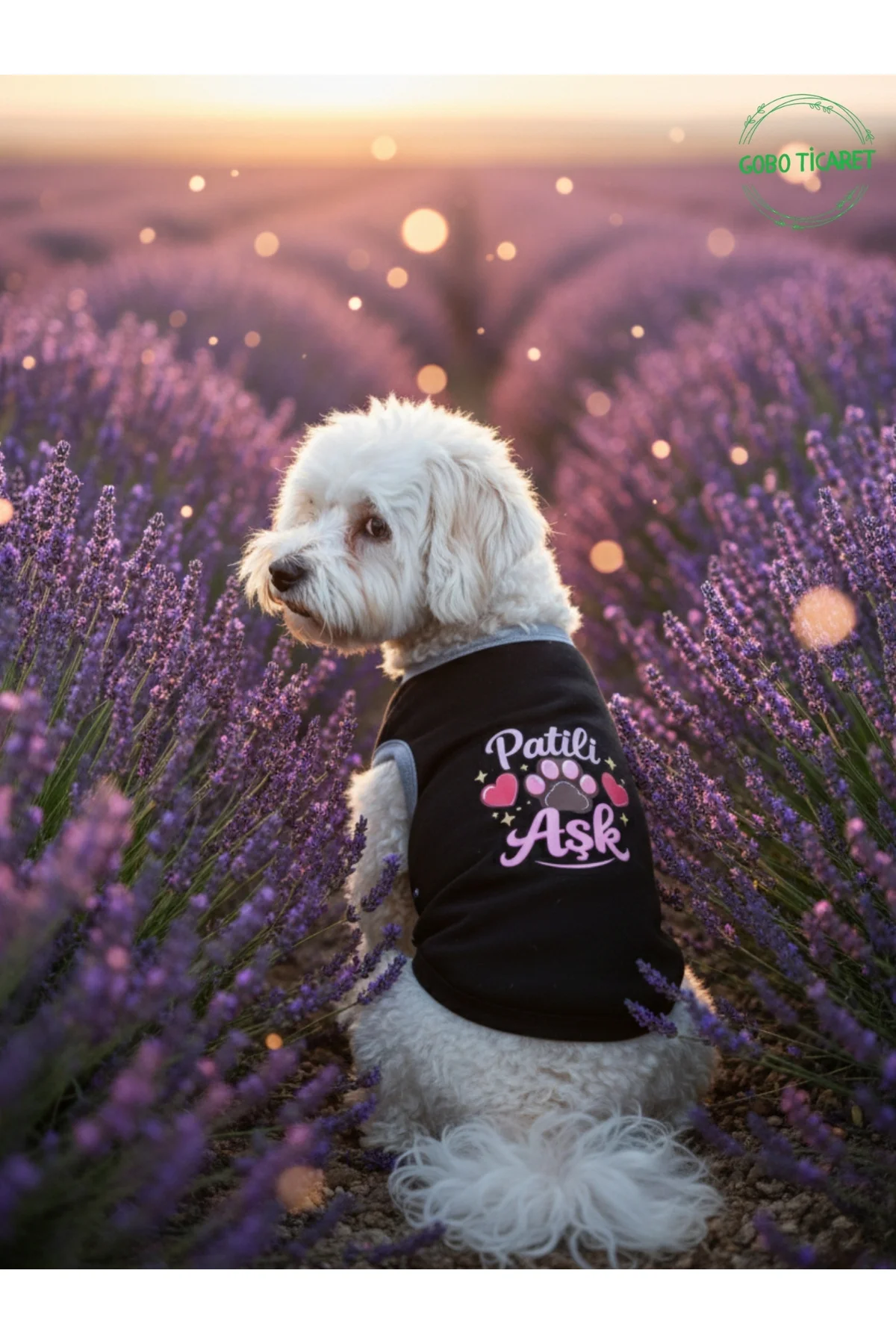 Siyah Renkli Patili Aşk Baskılı Kedi ve Köpek Kıyafeti Tişörtü El