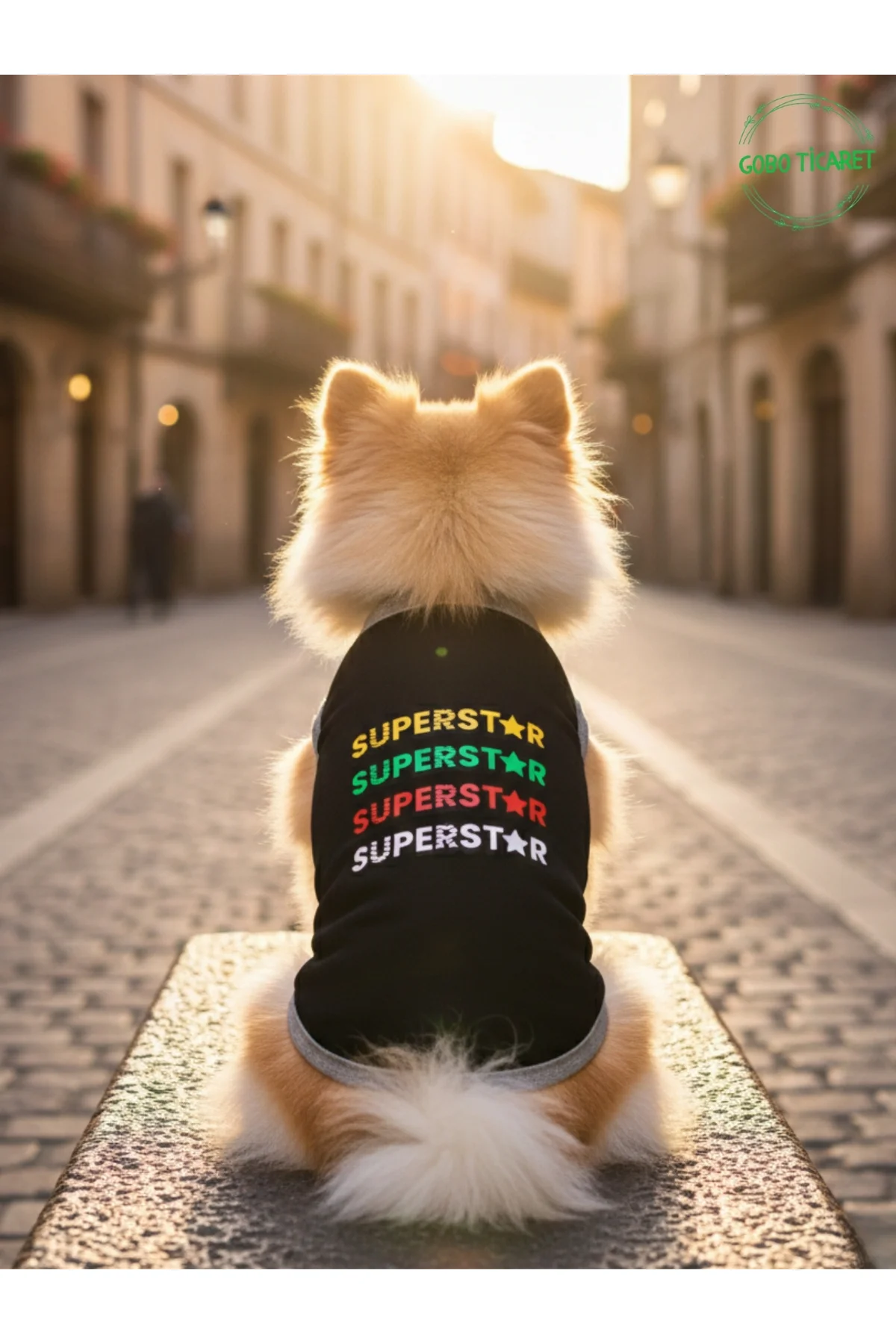 Siyah SUPERSTAR Yazılı Kedi ve Köpek Kıyafeti Tişörtü Elbisesi SM