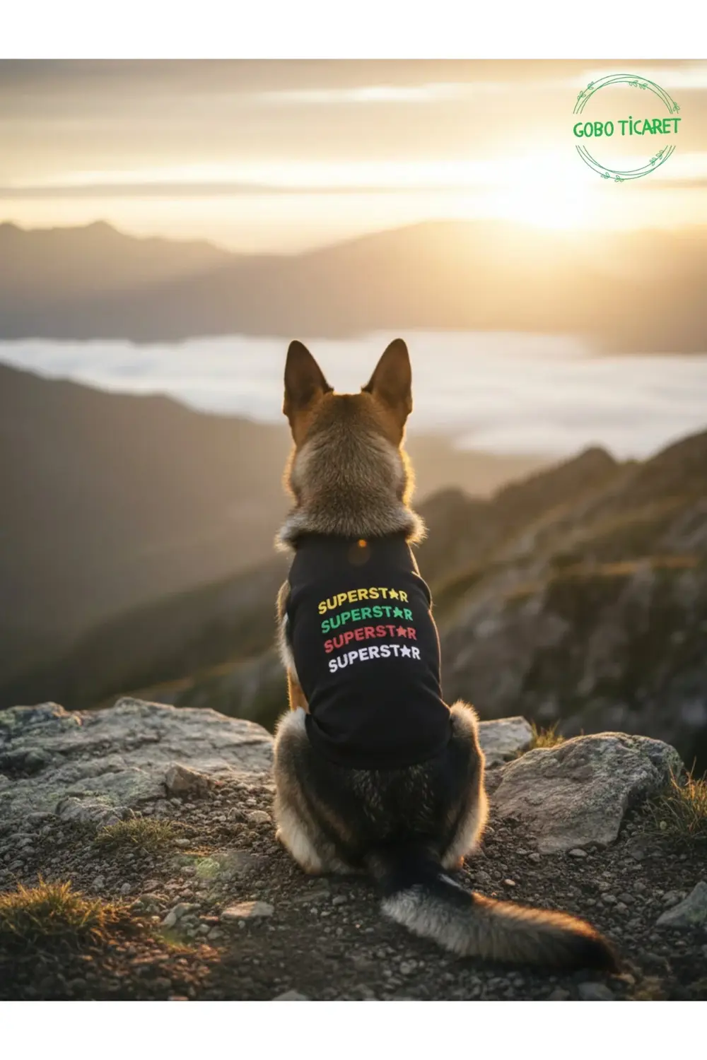 Siyah SUPERSTAR Yazılı Kedi ve Köpek Kıyafeti Tişörtü Elbisesi XS