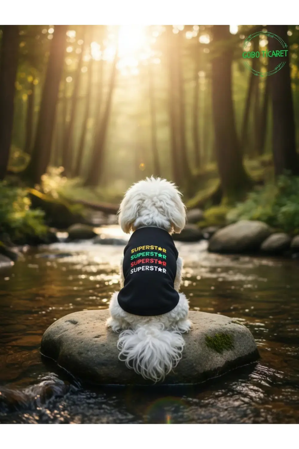 Siyah SUPERSTAR Yazılı Kedi ve Köpek Kıyafeti Tişörtü Elbisesi XS