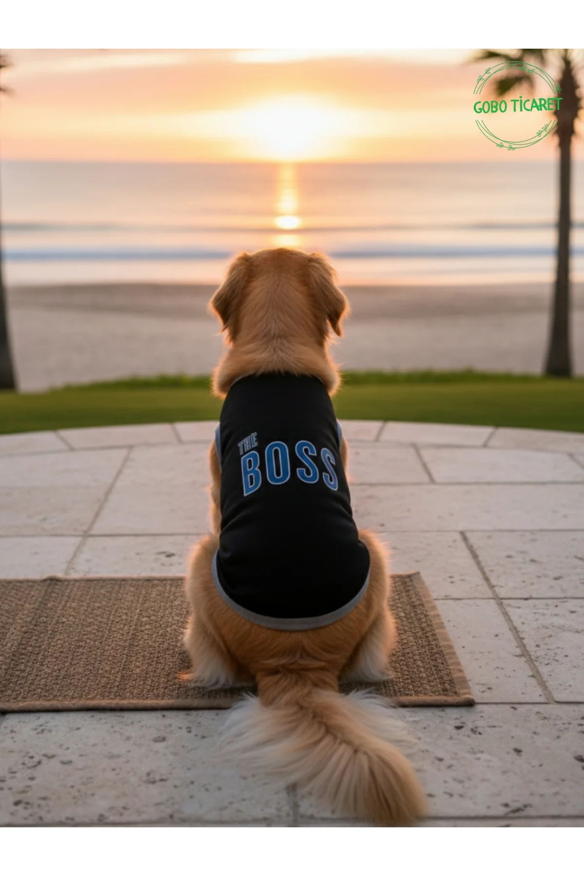 Siyah The Boss (Patron) Yazılı Kedi ve Köpek Kıyafeti Tişörtü Elb