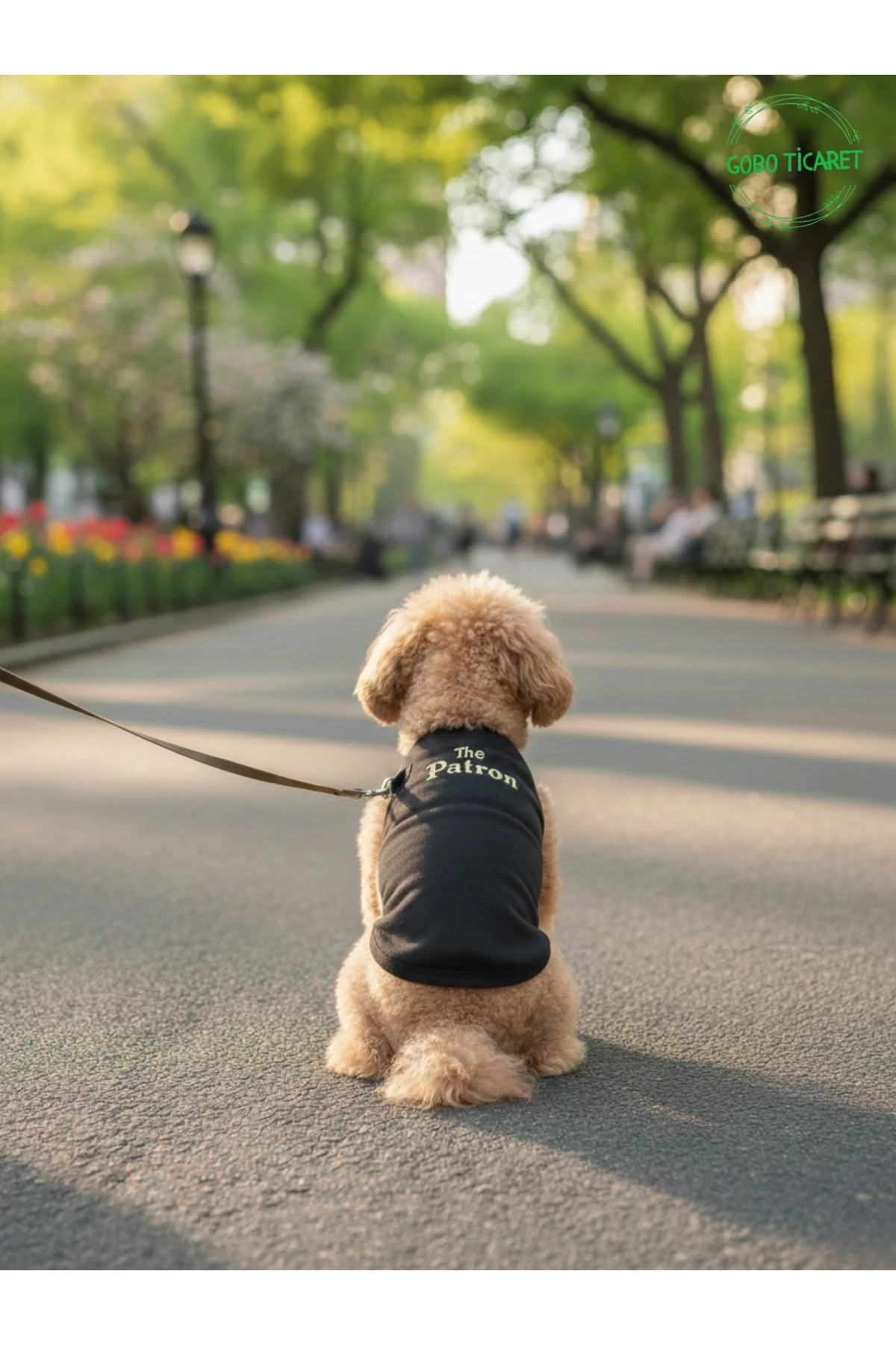 Siyah The Patron Yazılı Kedi ve Köpek Kıyafeti Tişörtü Elbisesi X