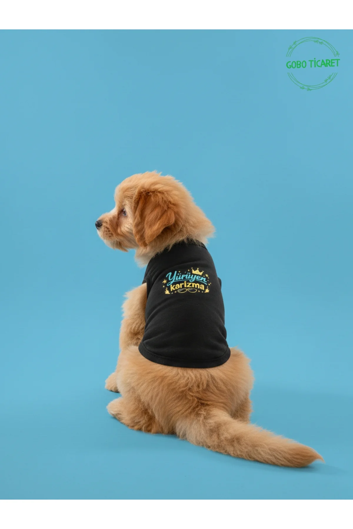 Siyah Yürüyen Karizma Yazılı Kedi ve Köpek Kıyafeti Tişörtü Elbis