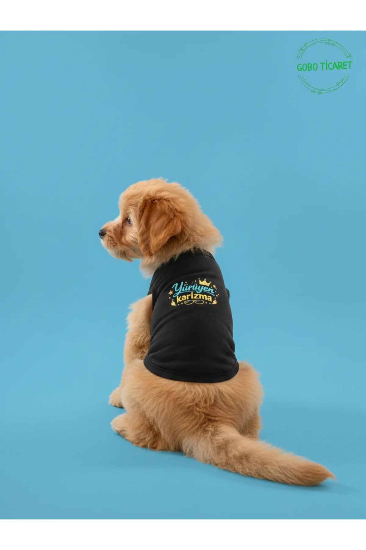 Siyah Yürüyen Karizma Yazılı Kedi ve Köpek Kıyafeti Tişörtü Elbis