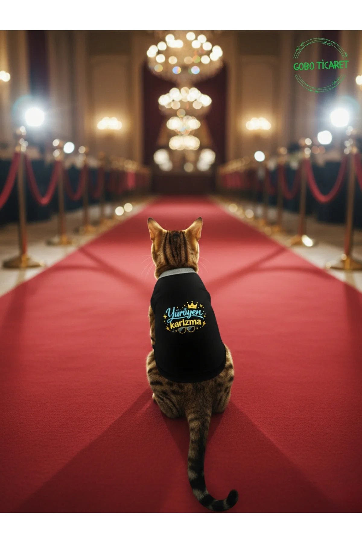Siyah Yürüyen Karizma Yazılı Kedi ve Köpek Kıyafeti Tişörtü Elbis