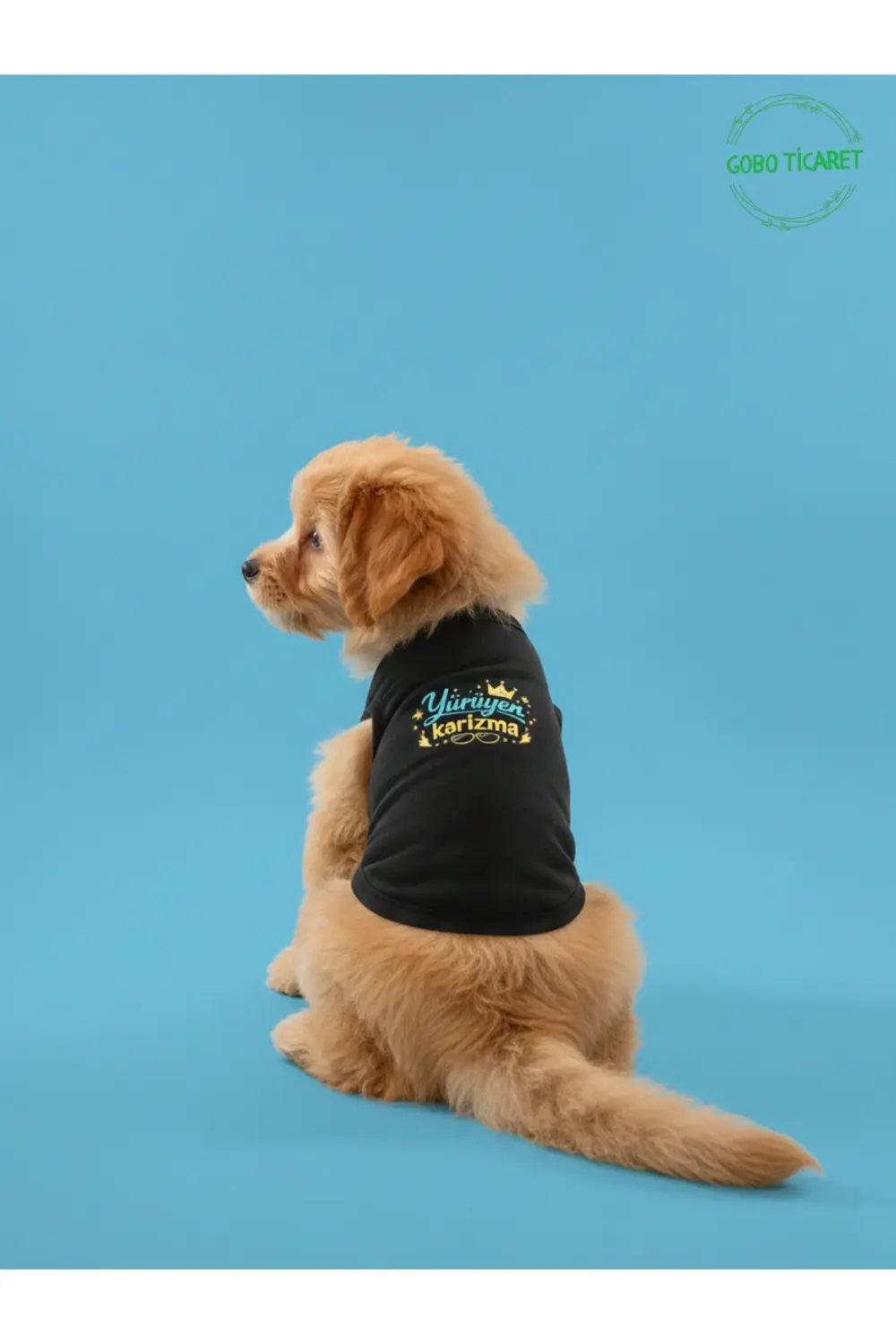 Siyah Yürüyen Karizma Yazılı Kedi ve Köpek Kıyafeti Tişörtü Elbis