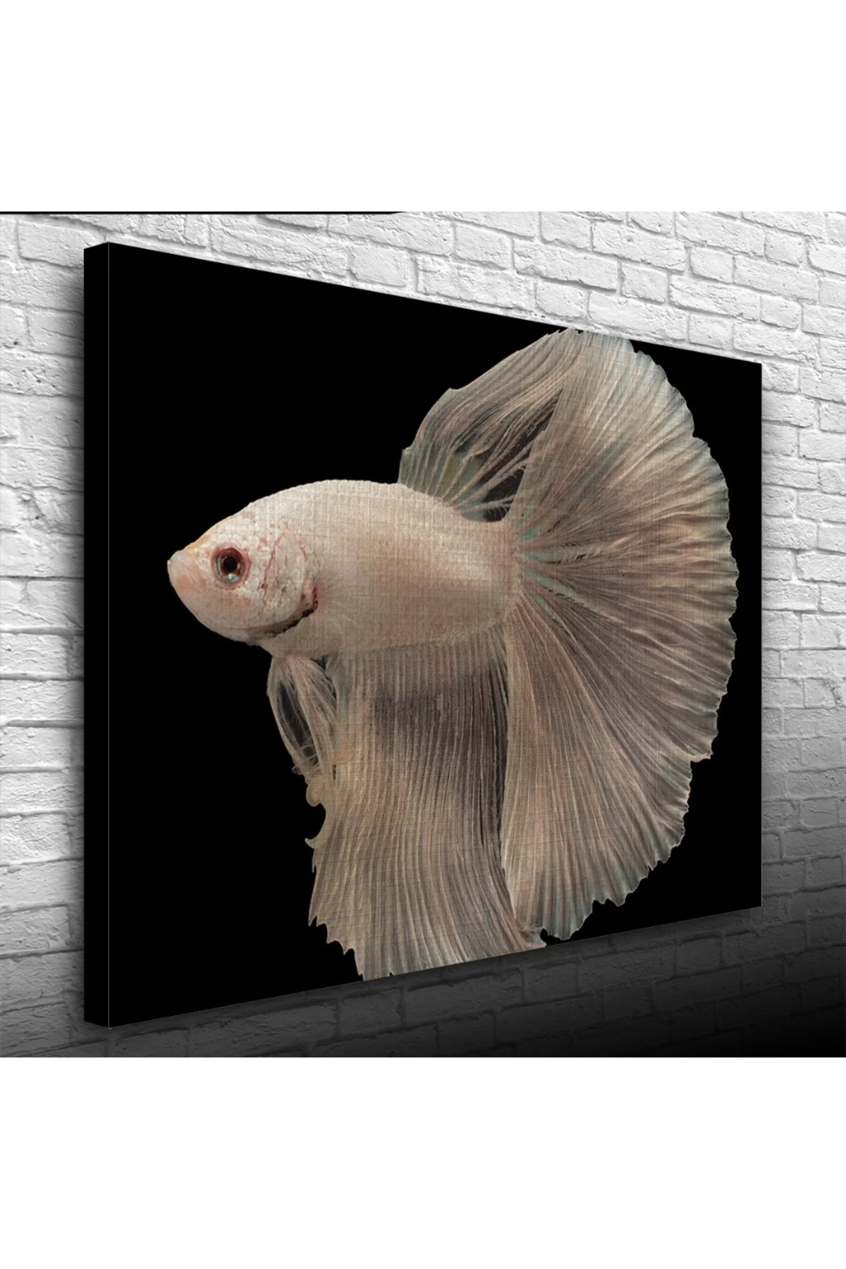 Siyam Balığı Kanvas Tablo 50 x 70