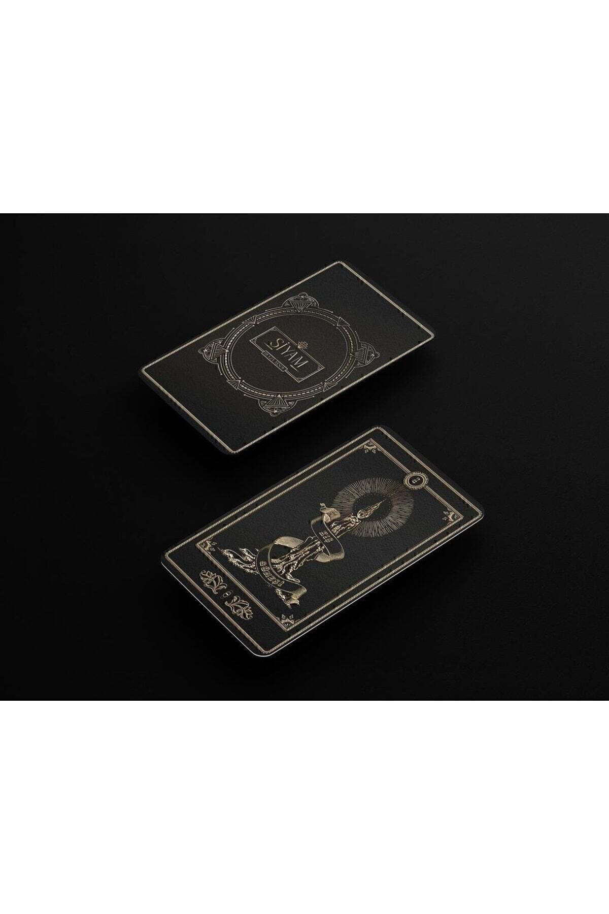 Epsilon Yayınevi Siyam Kış Güneşi Beyza Aksoy (Karton Kapak)