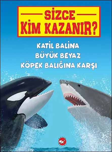 Sizce Kim Kazanır? Katil Balina Büyük Beyaz Köpek Balığına Karşı Fiyatı, Yorumları ve Özellikleri