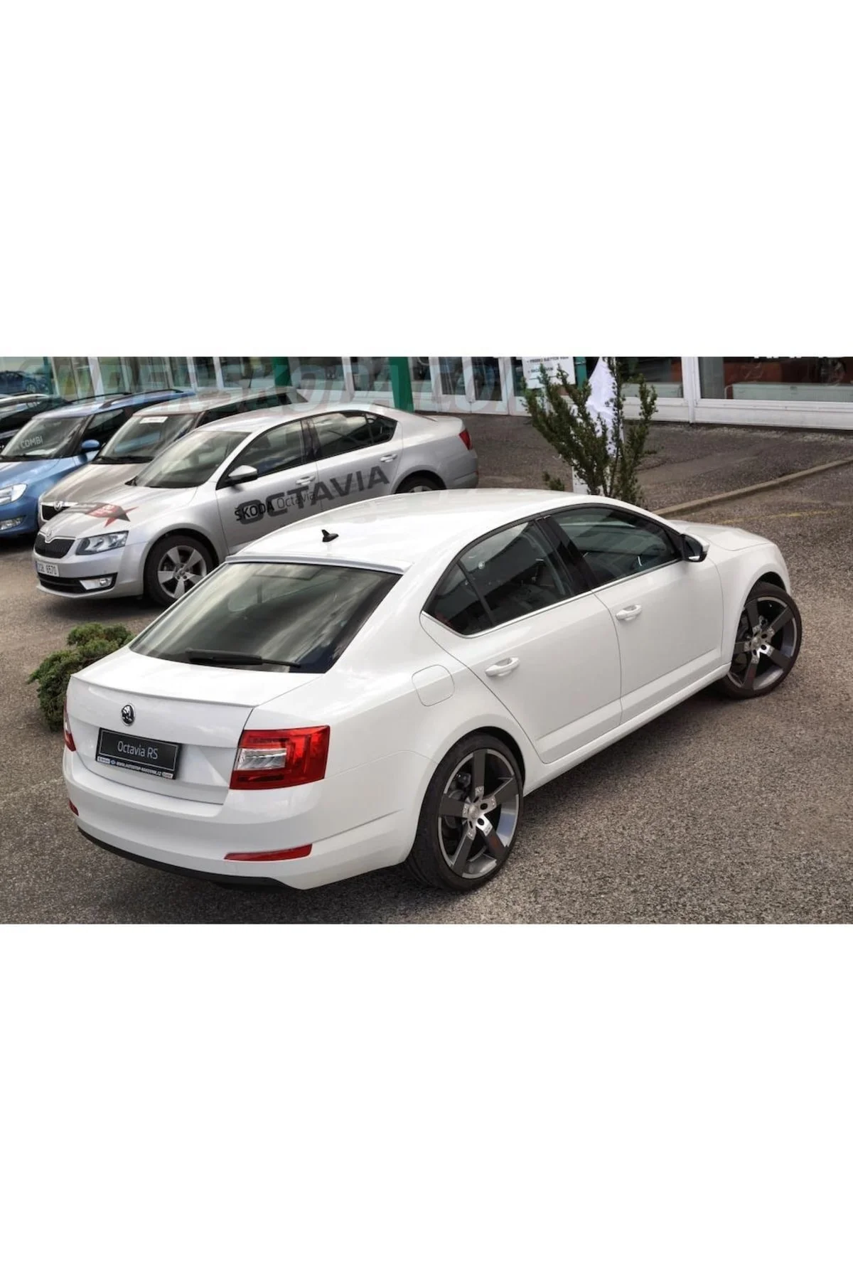 Skoda Octavia Astarlı Anatomik 2010- Spoyler (sry) Skoda Octavia Astarlı Anatomik 2010- Spoyler (sry)