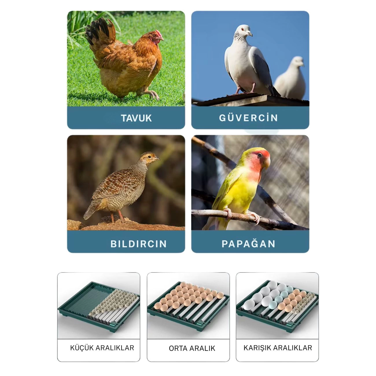 Slim Yeni Model 130’lu Gün Sayaçlı Otomatik Kuluçka Makinesi – Ta Slim Yeni Model 130’lu Gün Sayaçlı Otomatik Kuluçka Makinesi – Ta