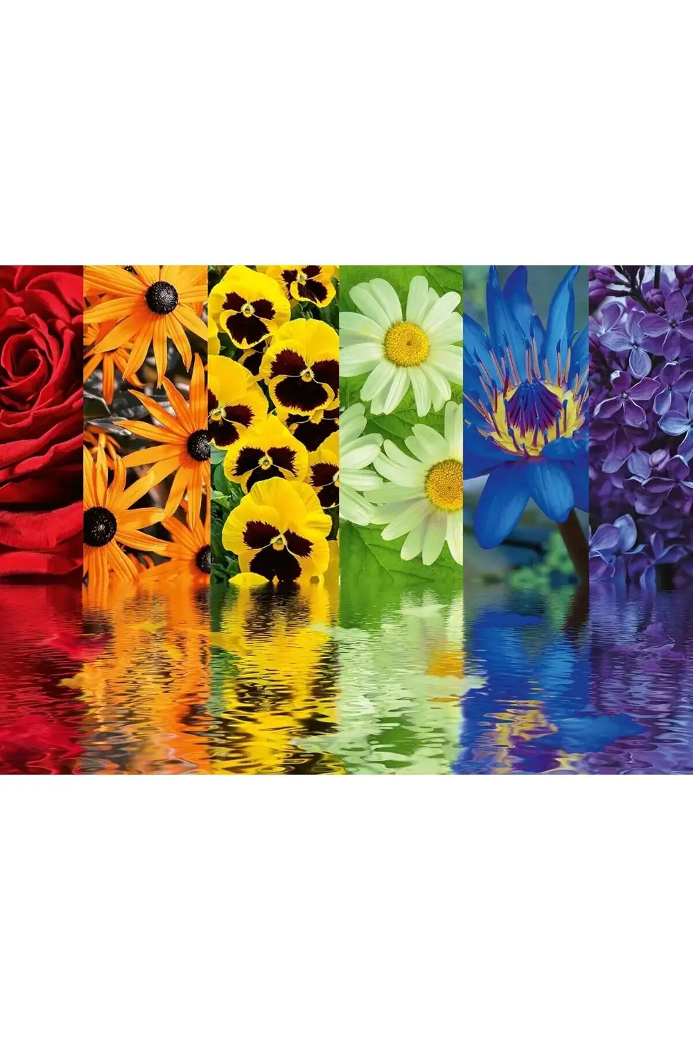 snShop 164462 500 Parça Puzzle Çiçek Yansıma, Çok Renkli 467437
