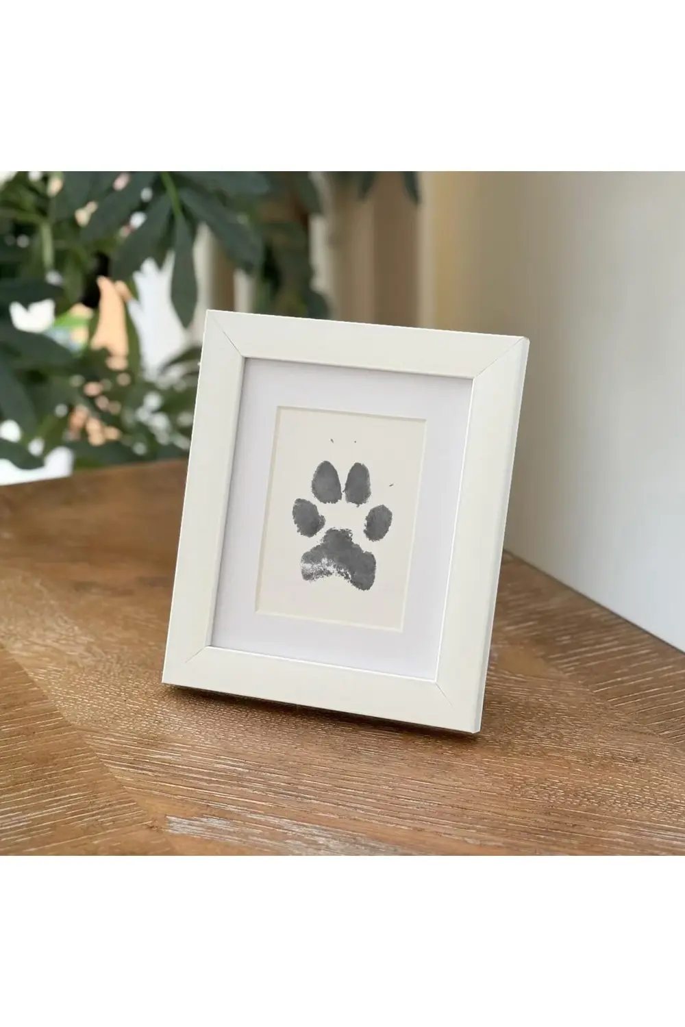 snShop Tekli Evcil Hayvan Pati İzi ve Fotoğraf Çerçevesi - Kedi K