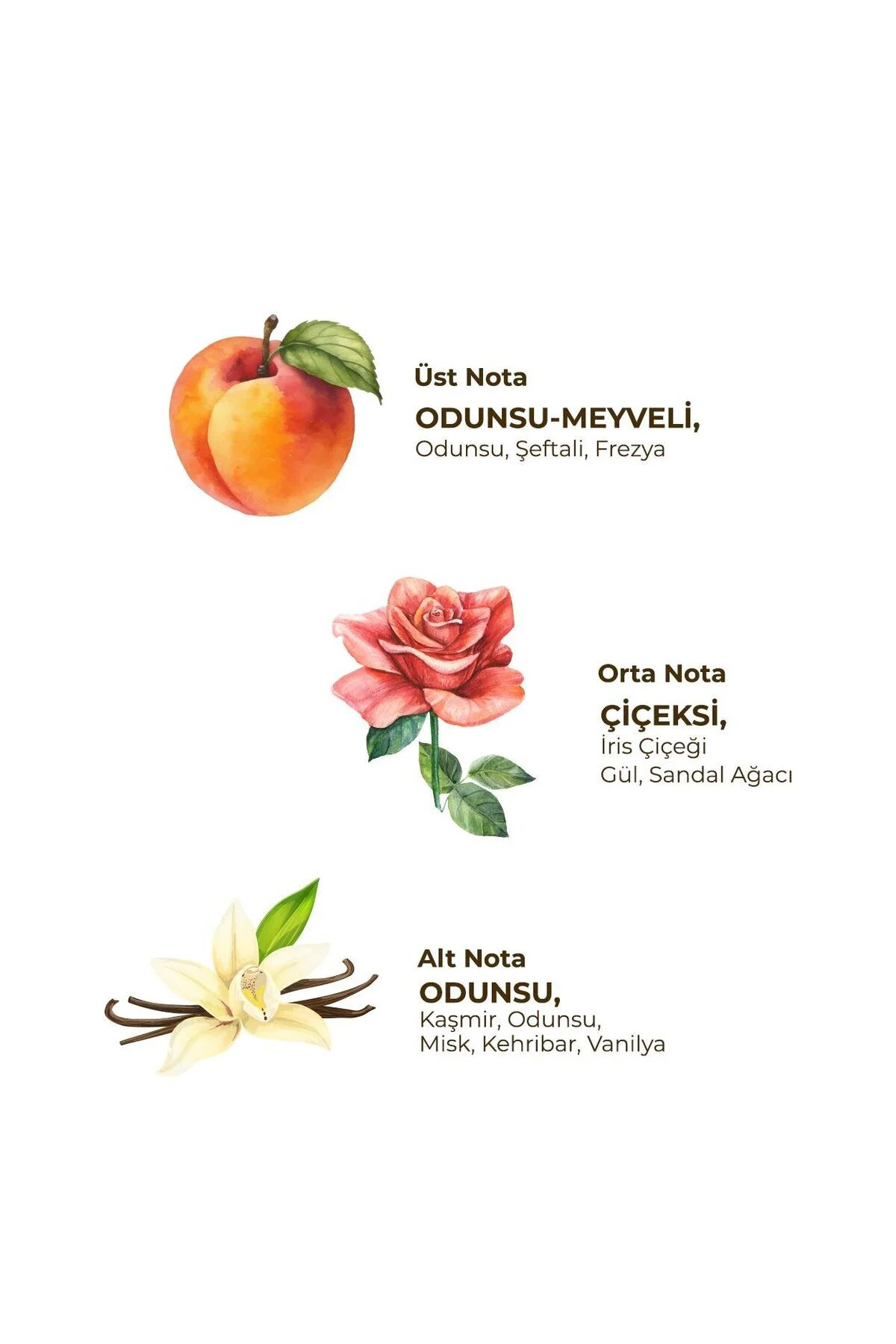 Soft Active Floral Kadın Roll On Deodorant 3x75 ml Soft Active Floral Kadın Roll On Deodorant 3x75 ml