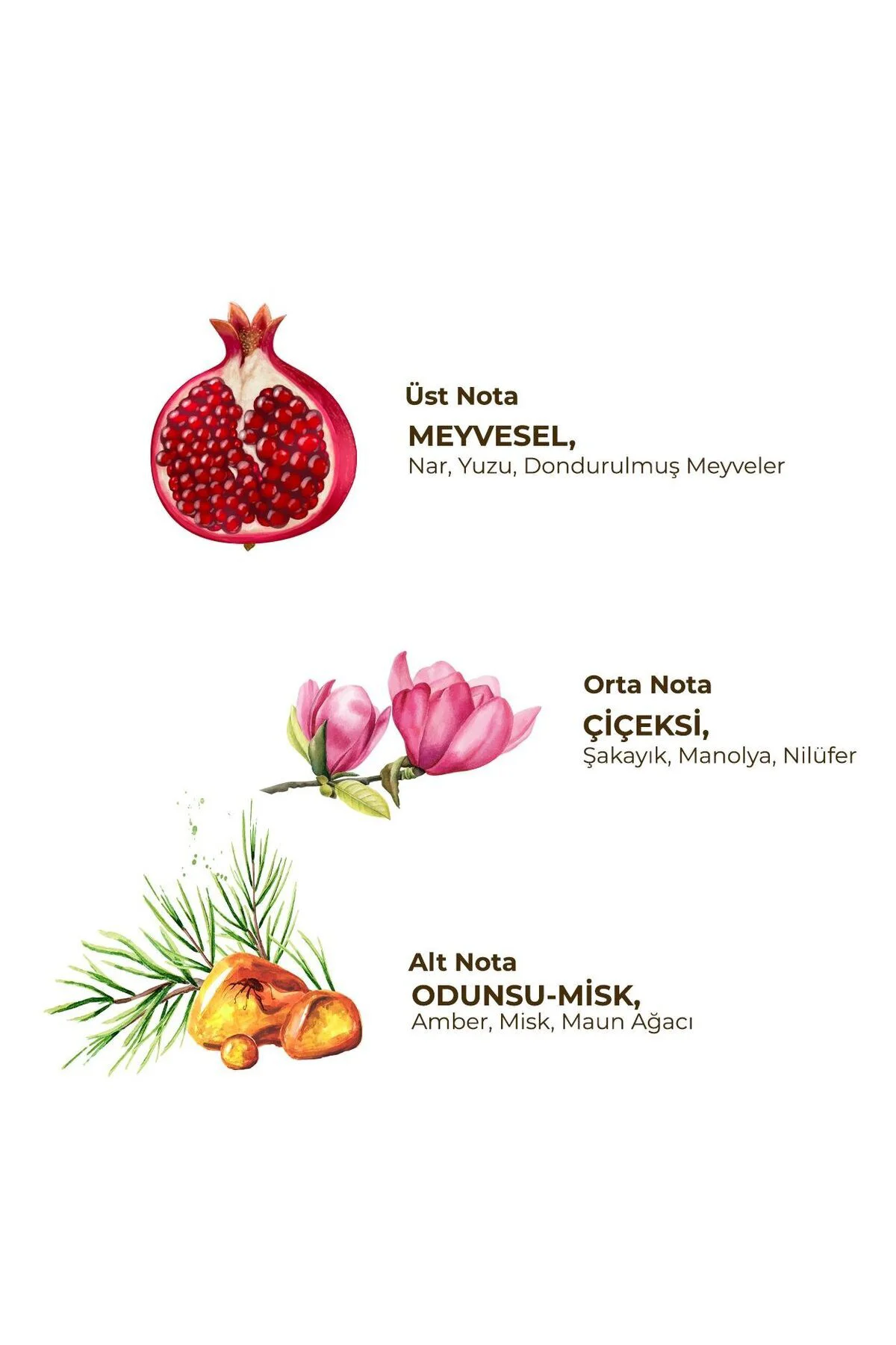 Soft Active Floral Kadın Roll On Deodorant 3x75 ml Soft Active Floral Kadın Roll On Deodorant 3x75 ml