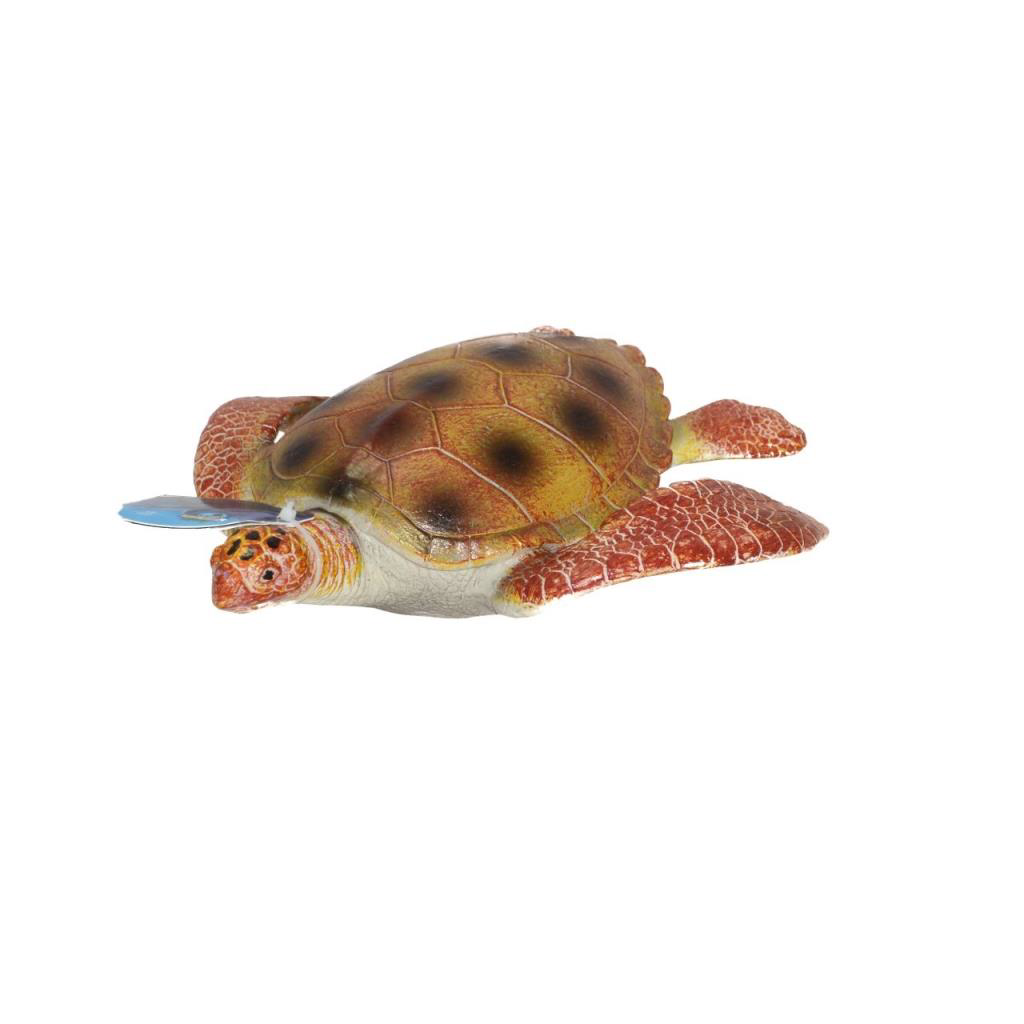 Soft Deniz Hayvanları Soft Deniz Hayvanları