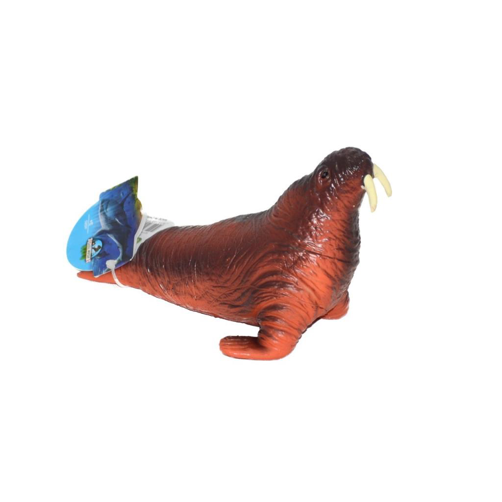Soft Deniz Hayvanları Soft Deniz Hayvanları