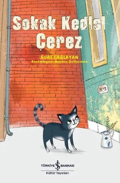 Sokak Kedisi Çerez Fiyatı, Yorumları ve Özellikleri