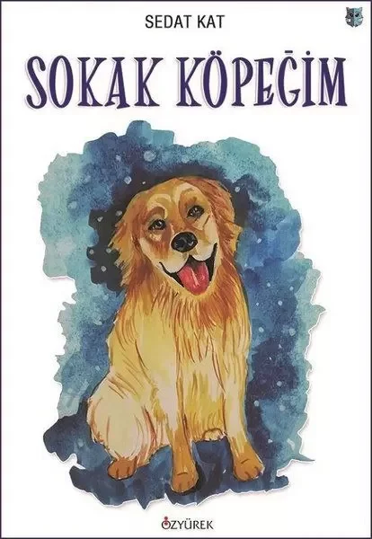 Sokak Köpeğim Fiyatı, Yorumları ve Özellikleri