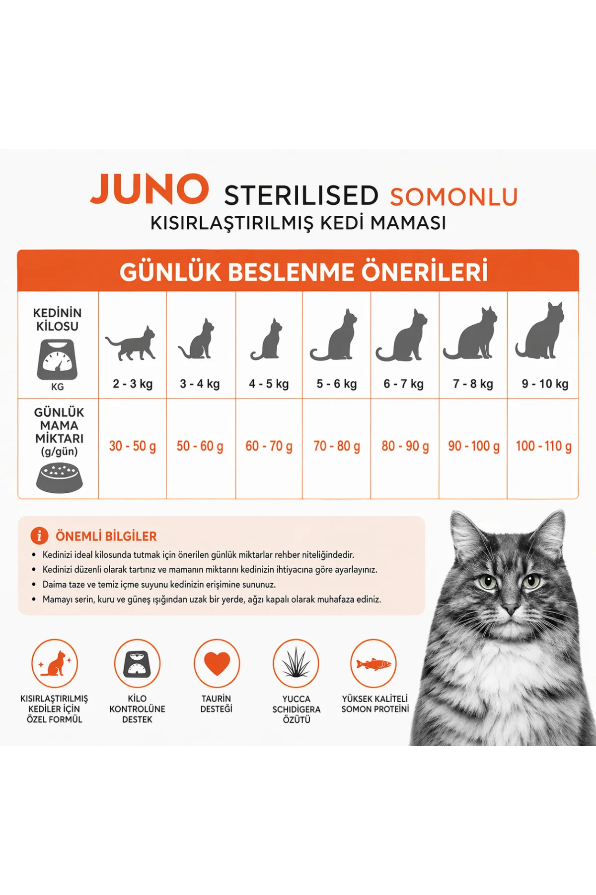 Somonlu Kısırlaştırılmış Kedi Maması 1 Kg Somonlu Kısırlaştırılmış Kedi Maması 1 Kg
