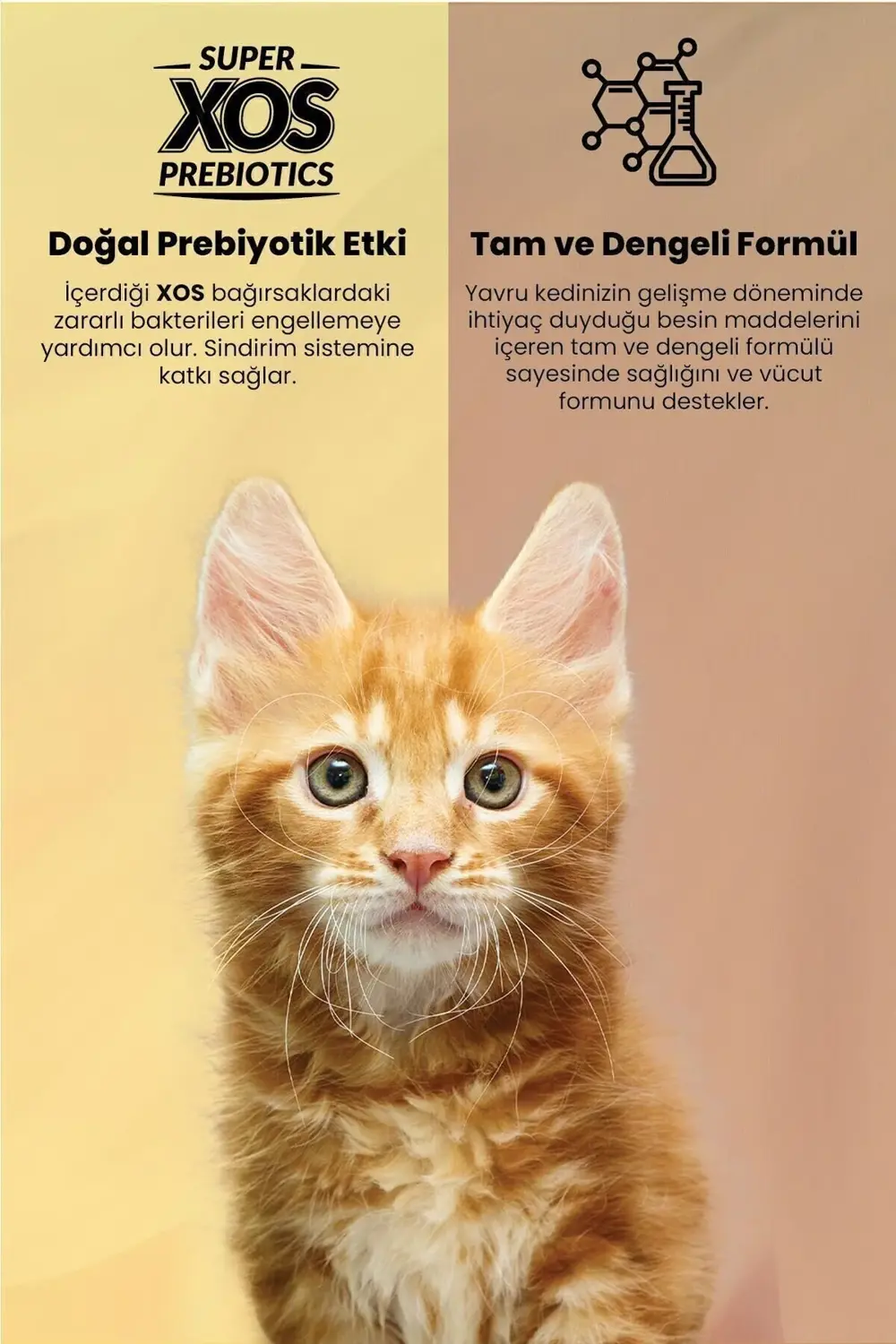 Reflex Plus Somonlu Yavru Kedi Maması 1,5 Kg