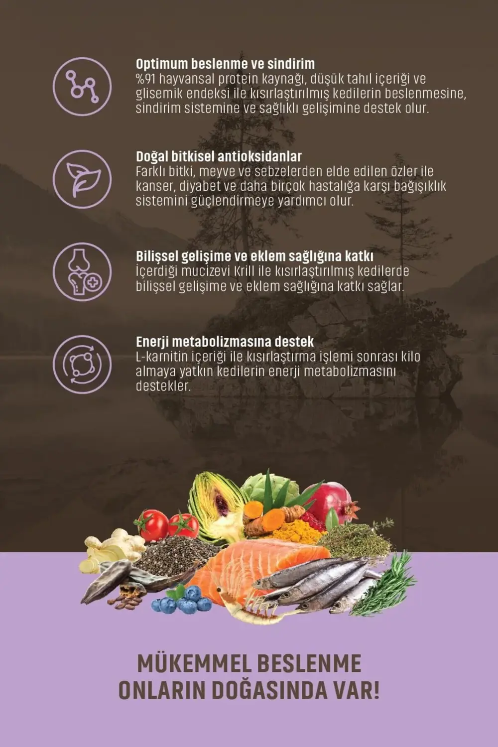 Somunlu Hamsili Ve Kızılcıklı Kısırlaştırılmış Yetişkin Kedi Mama