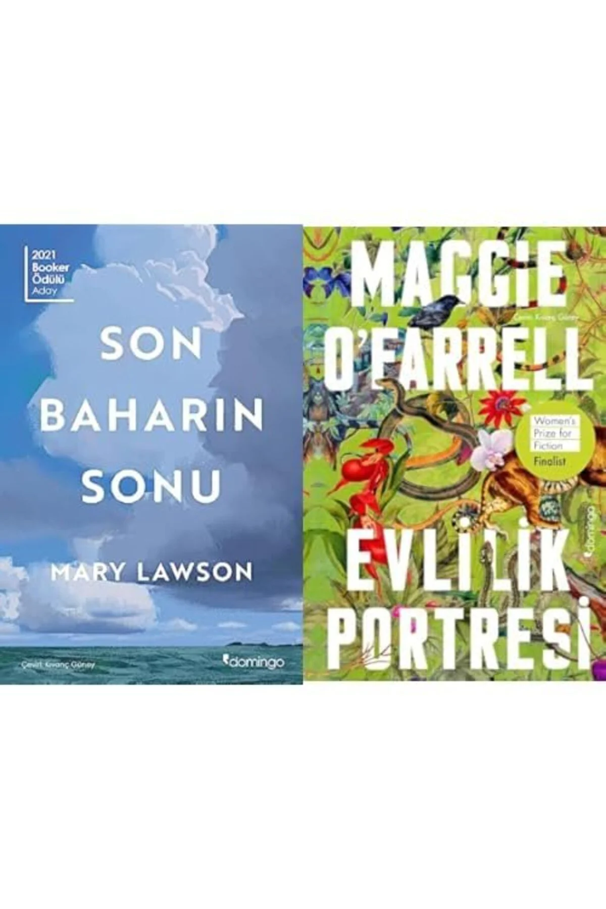 son baharin sonu + evlilik portresi=(2kitap)