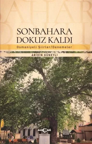 Sonbahara Dokuz Kaldı Fiyatı, Yorumları ve Özellikleri