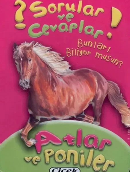 Sorular Ve Cevaplar Kart Atlar Ve Poniler Fiyatı, Yorumları ve Özellikleri