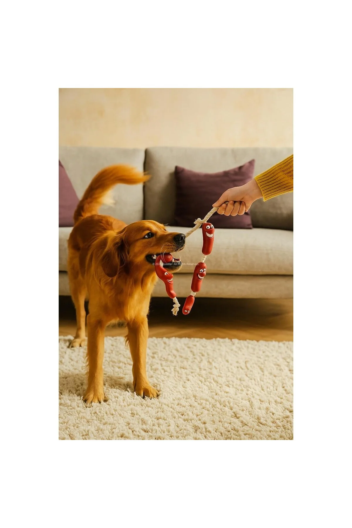 Sosis Şeklinde Köpek Oyuncağı Dayanıklı Yumuşak Silikon Isırma Oy