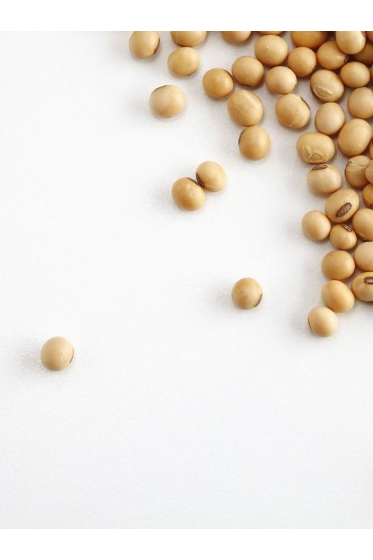 Soya Fasulyesi 1 Kg Glutensiz Soya Fasülyesi Gdo'suz Ürün 1000 gr