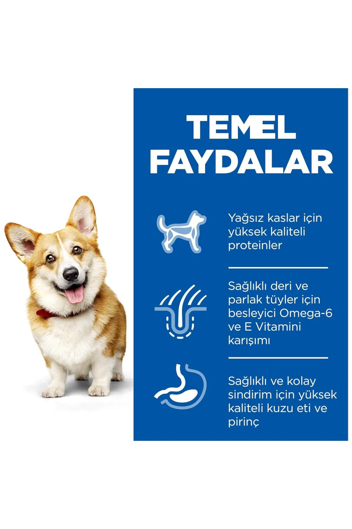 SP Kuzulu ve Pirinçli Küçük ve Mini Irk Yetişkin Köpek Maması 5+1
