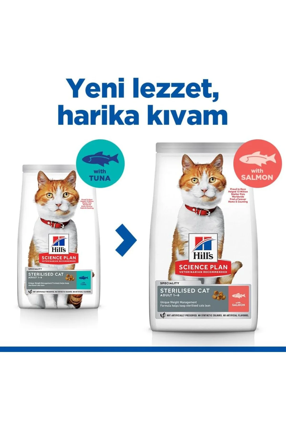 SP Somon Kısırlaştırılmış Yetişkin Kedi Maması 8+2 KG SP Somon Kısırlaştırılmış Yetişkin Kedi Maması 8+2 KG