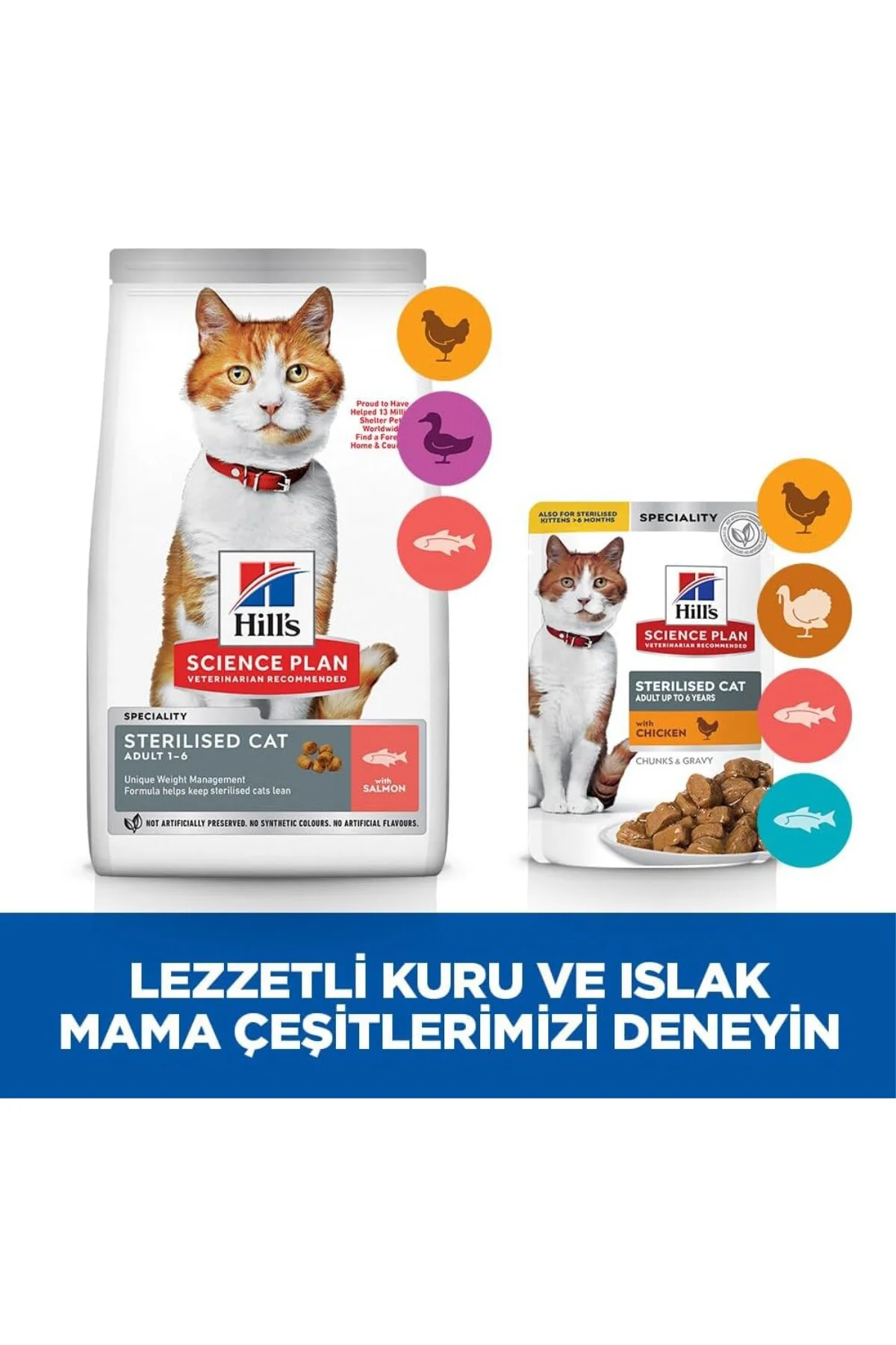 SP Somon Kısırlaştırılmış Yetişkin Kedi Maması 8+2 KG SP Somon Kısırlaştırılmış Yetişkin Kedi Maması 8+2 KG