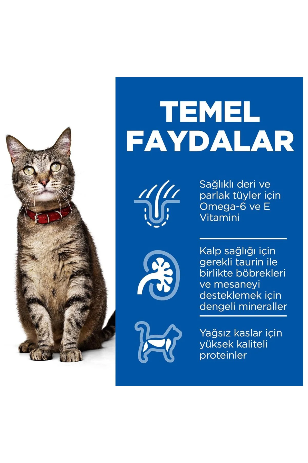 SP Tavuklu Yetişkin Kedi Maması 8+2KG