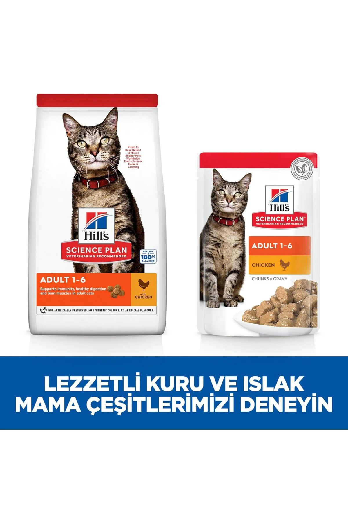 SP Tavuklu Yetişkin Kedi Maması 8+2KG