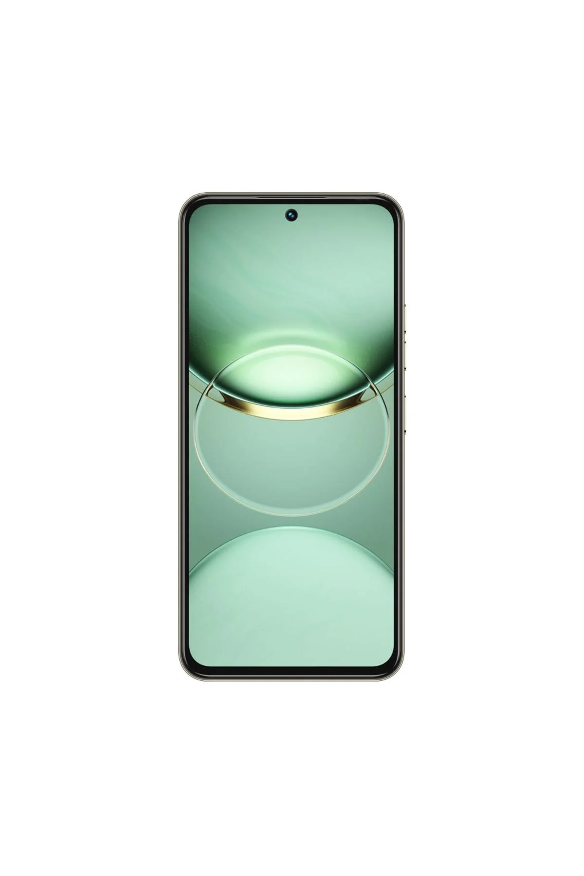 SPARK 30 Pro 8/256 GB Yeşil (TECNO Türkiye Garantili)