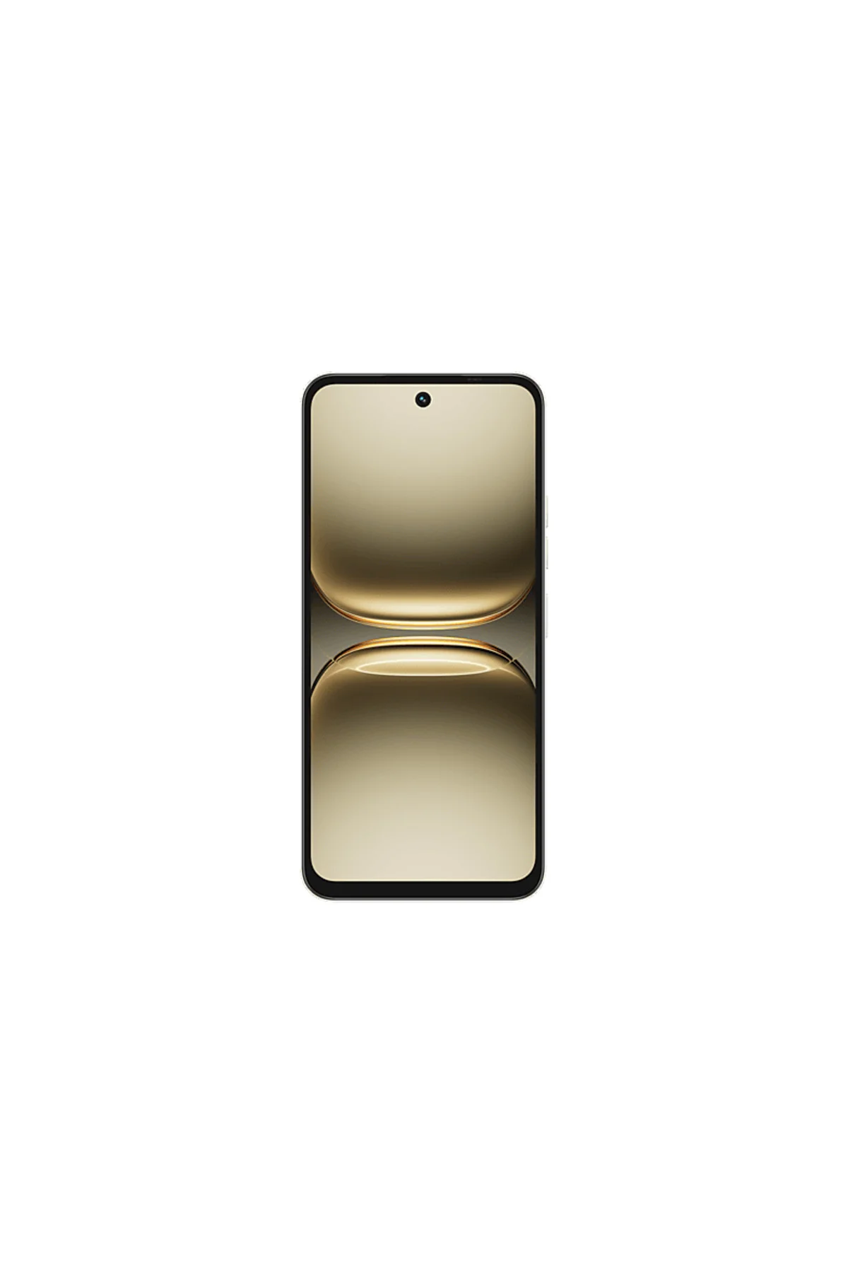 Spark 40 8/256 GB Akıllı Telefon Titanyum Gri (TECNO Türkiye Gara