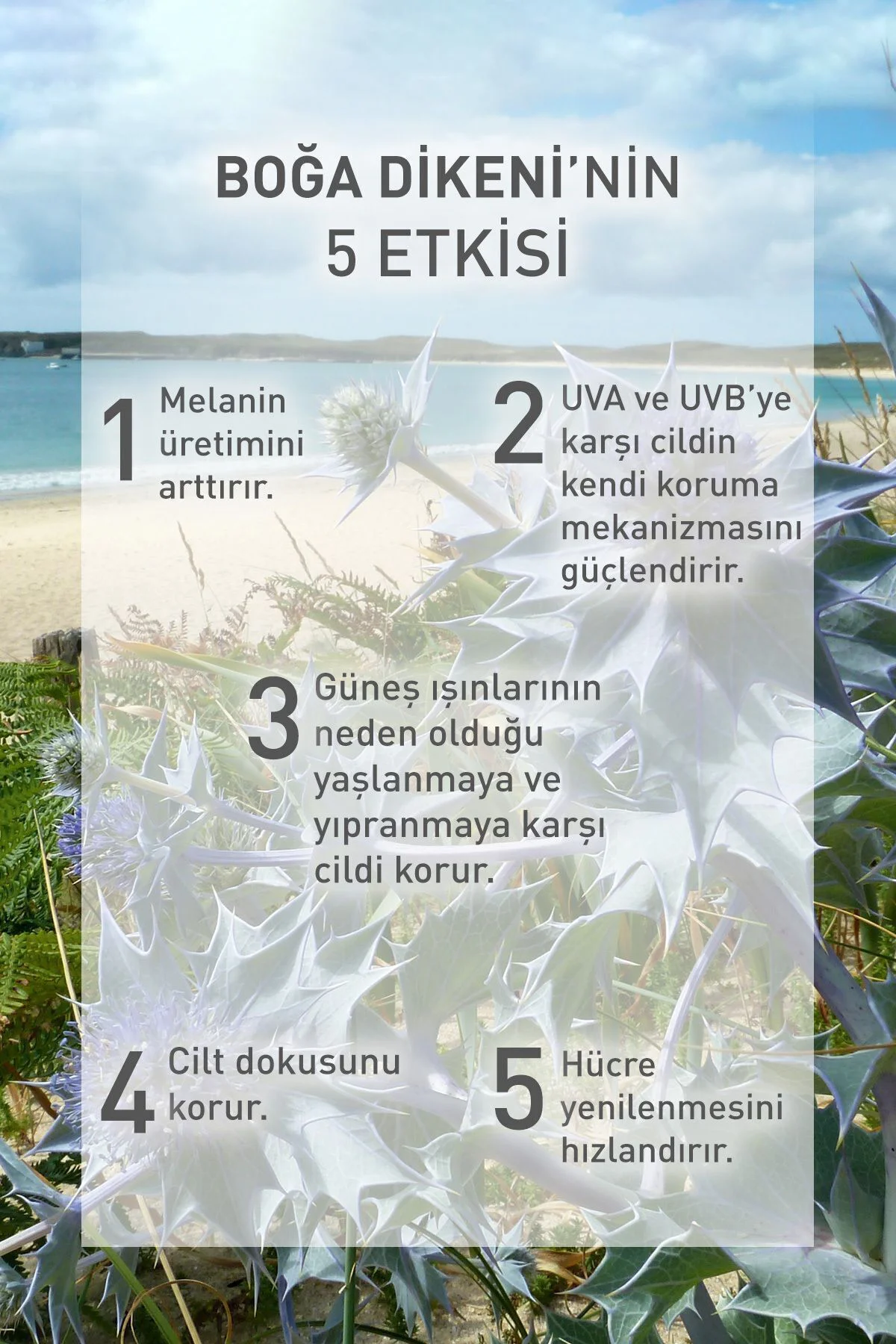 Spf 30 Fotoyaşlanma Ve Leke Karşıtı Güneş Koruyucu Yüz Kremi/solaire Peau Parfaite-40 ml