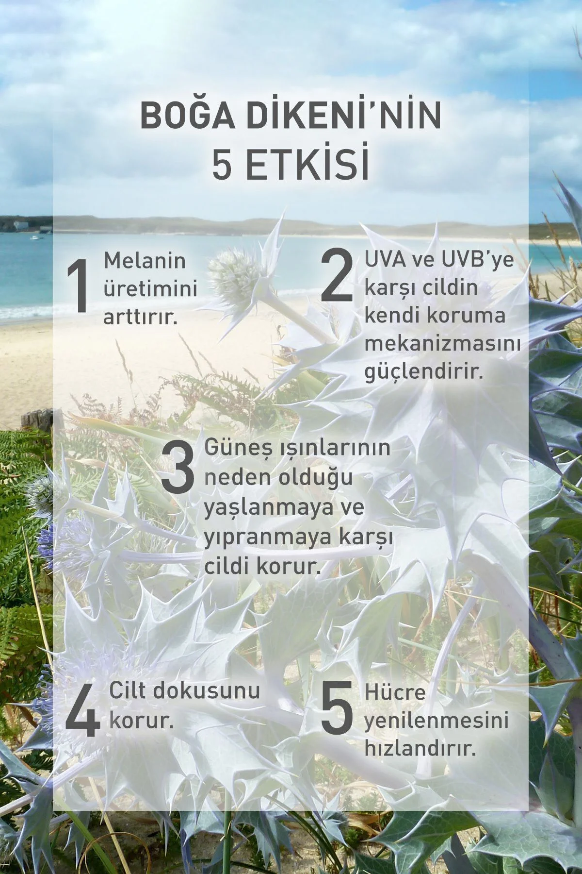 Spf 30 Güneş Koruyucu Yüz&vücut Losyonu/solaire Peau Parfaite-150