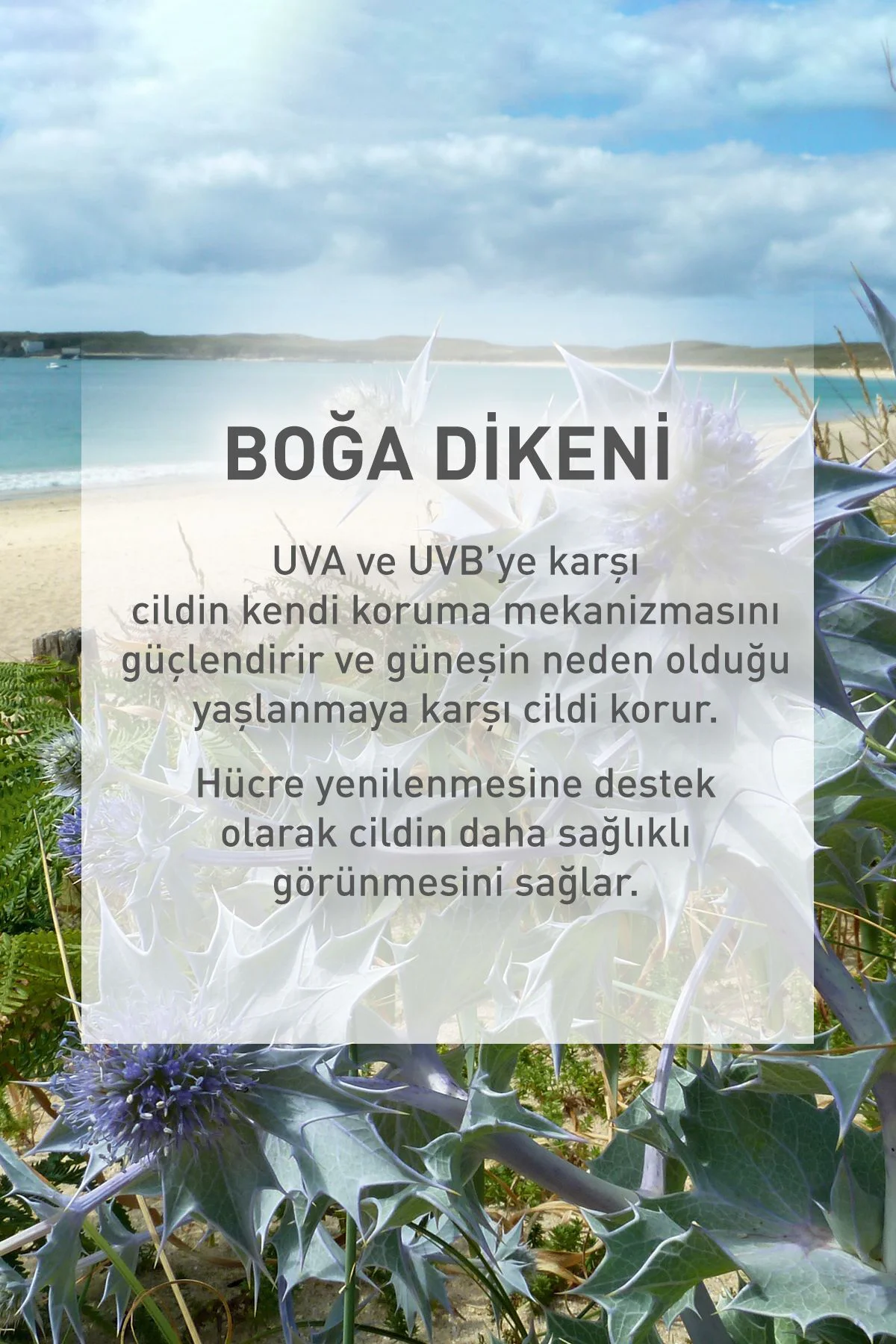 Spf 50 Yüksek Korumalı Yağlanma Ve Leke Karşıtı Yüz Güneş Kremi/S