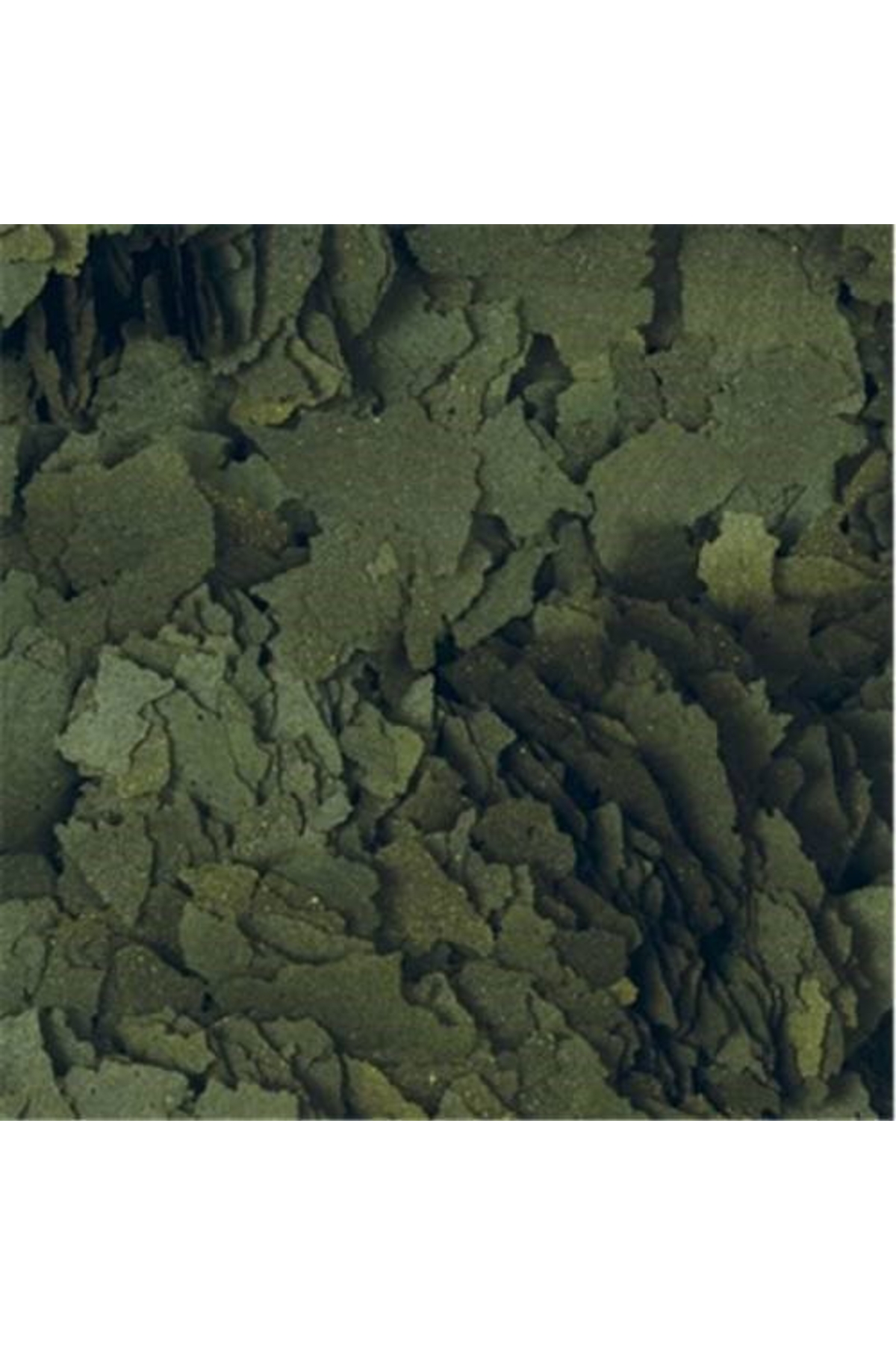 Spirulina Super Forte Flakes 50 Gram Balık Yemi