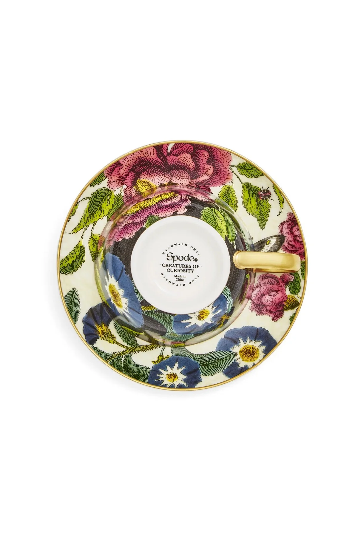 Spode, Creatures Of Curiosity - Kelebekli Çay Fincanı - (Black/Cr