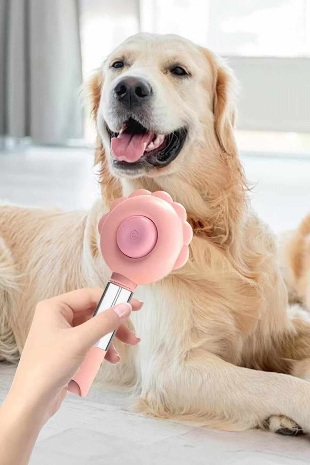 Sprey Hazneli Evcil Hayvan Tüy Toplama ve Temizlik Fırçası – Kedi