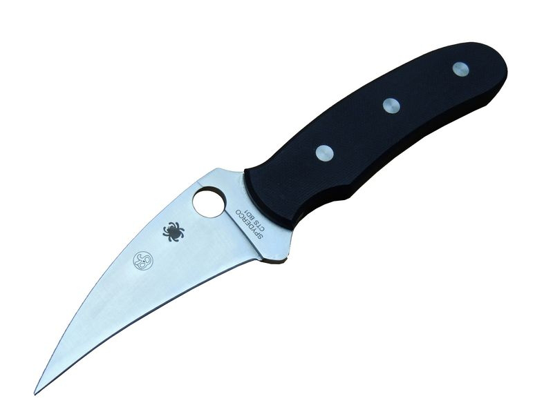 Spyderco CTS BD1 Sivri Outdoor Bıçağı 20 cm - Siyah Sapl, Kemerli