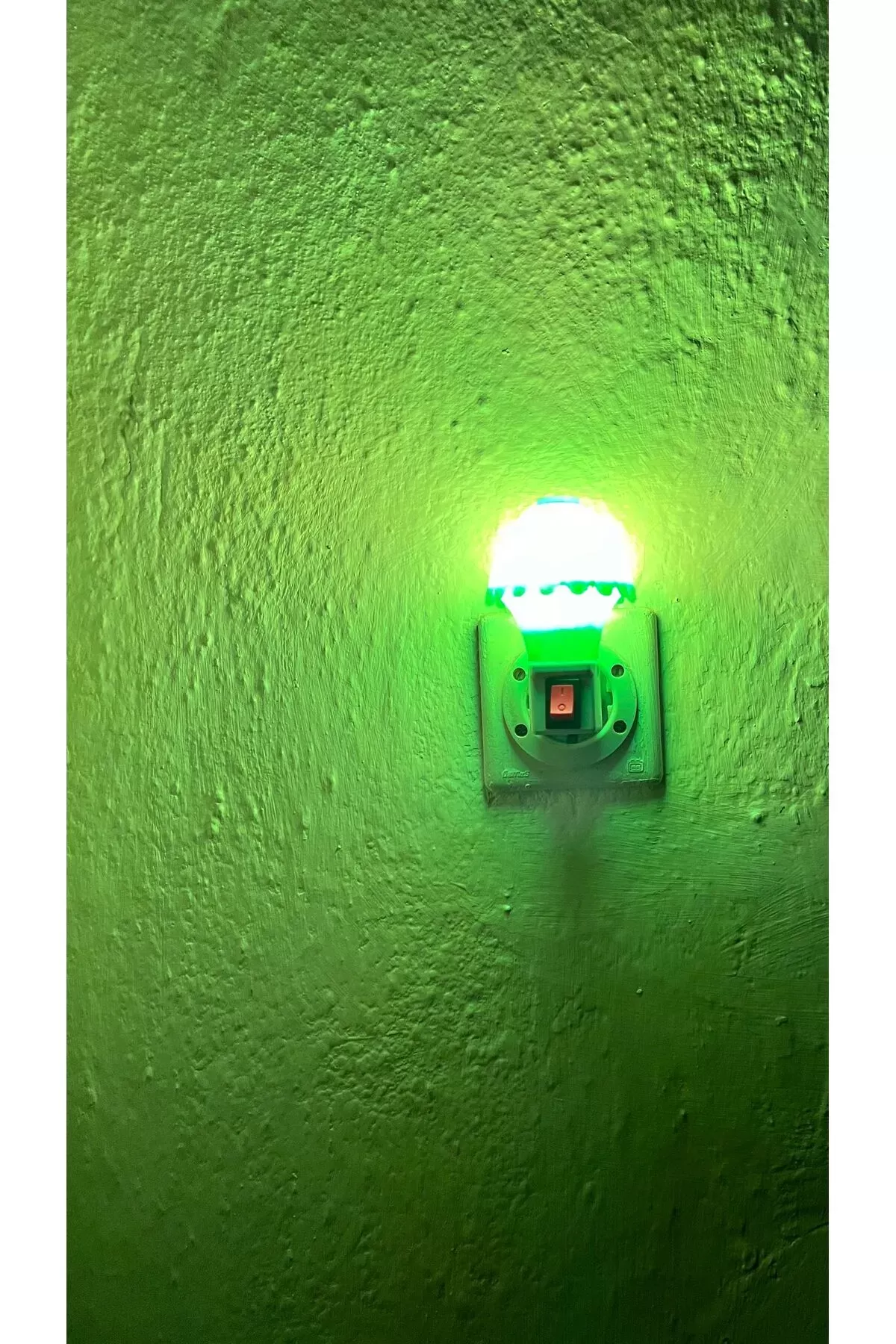 Just Cheap Store Star Light Gece Lambasi 788