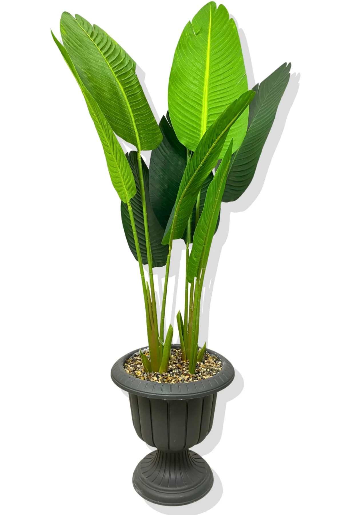 STARLİÇE 140 CM YAPAY AĞAÇ ANTRASİT NERGİS SAKSI STARLİÇE 140 CM YAPAY AĞAÇ ANTRASİT NERGİS SAKSI