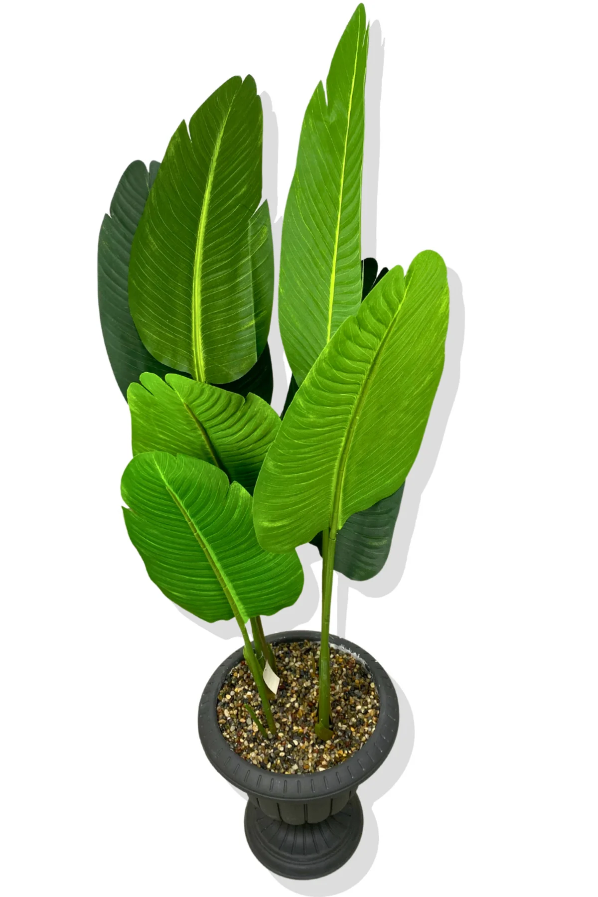 STARLİÇE 140 CM YAPAY AĞAÇ ANTRASİT NERGİS SAKSI STARLİÇE 140 CM YAPAY AĞAÇ ANTRASİT NERGİS SAKSI - Görsel 3