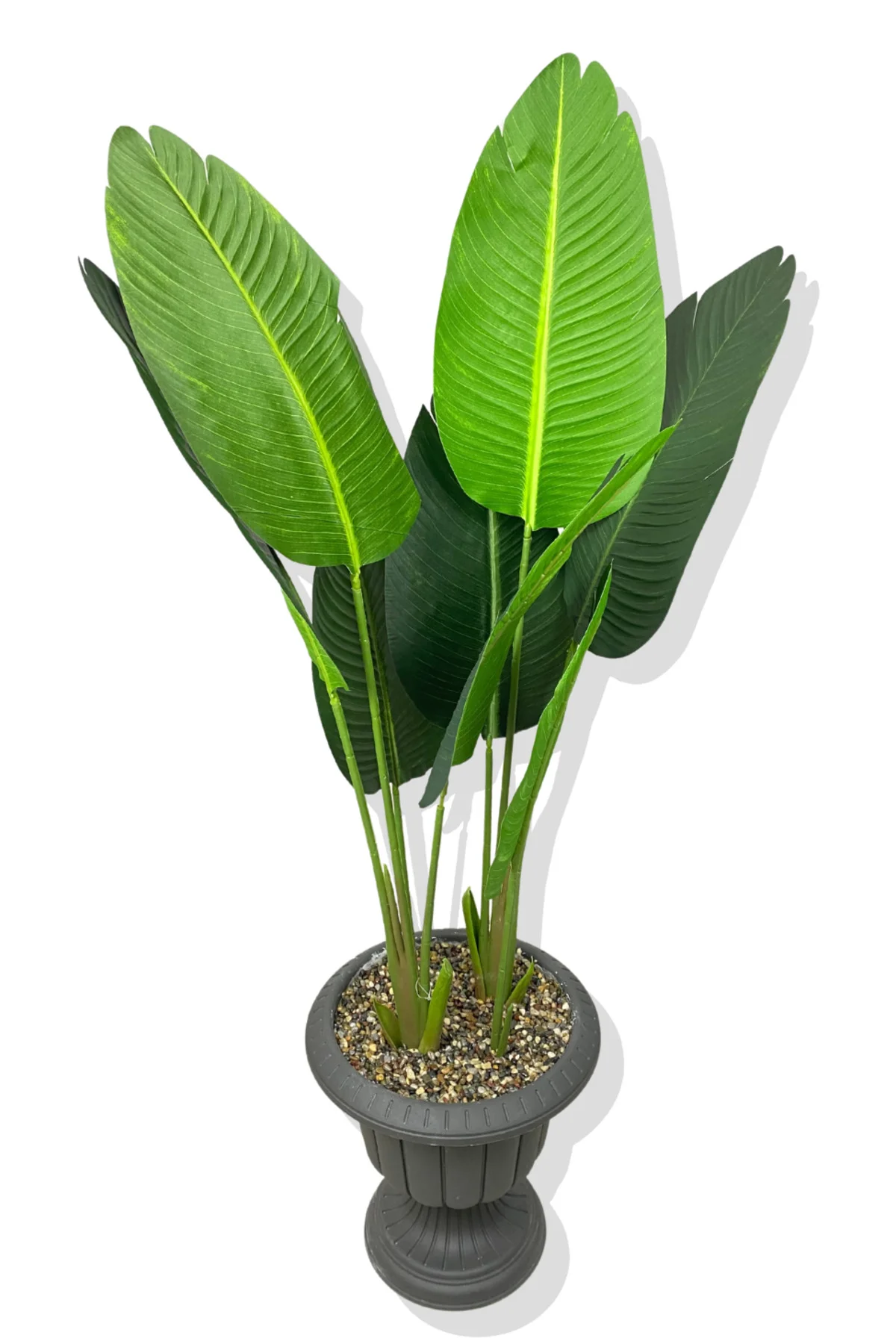 STARLİÇE 140 CM YAPAY AĞAÇ ANTRASİT NERGİS SAKSI STARLİÇE 140 CM YAPAY AĞAÇ ANTRASİT NERGİS SAKSI - Görsel 2